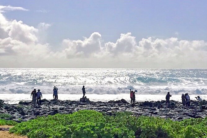 Oahu Island Sightseeing and Food Combo Tour - Kualoa Regional Park photo time, then Kahuku for garlic shrimp