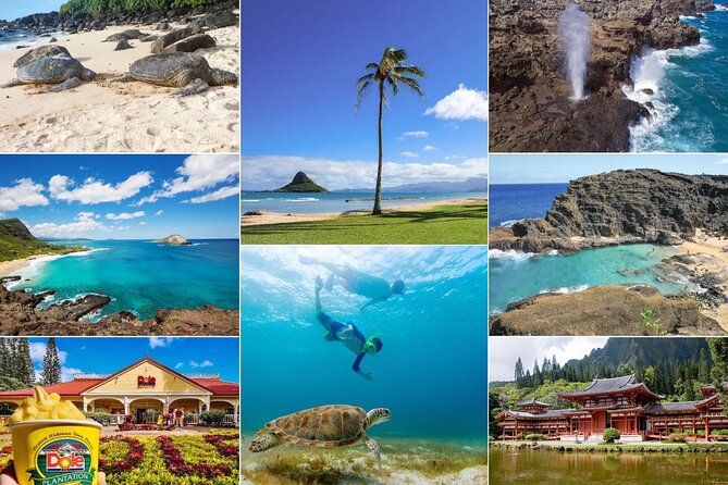 Oahu Island Tour: 13 ppl Max, Snorkel at Turtle Beach + Lunch - Key Points That Make This Tour Worth Your Time