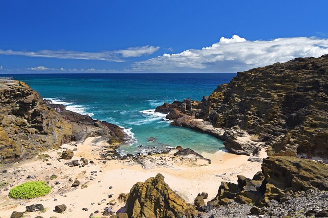 Oahu Island Tour: 13 ppl Max, Snorkel at Turtle Beach + Lunch - Makapu‘U Point: Wide Open Views and Seasonal Whale-Watching
