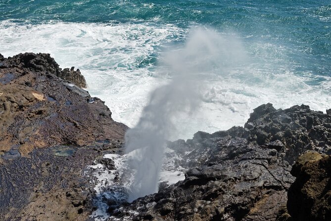 Oahu Island Tour: 13 ppl Max, Snorkel at Turtle Beach + Lunch - Kualoa Regional Park: Coast Views and Iconic Scenery