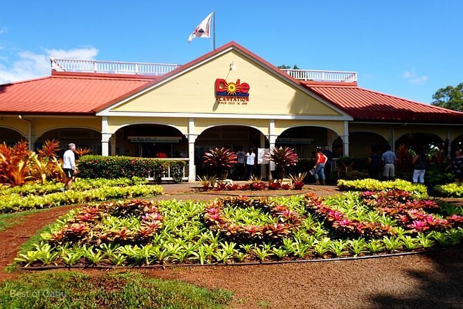 Oahu Island Tour, Dole plantation ,Northshore,VIP,PRIVATE - Oahu VIP with private transport: what you really gain