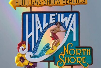Oahu Island Tour, Dole plantation ,Northshore,VIP,PRIVATE - Hanauma Bay Nature Preserve: reef-time with included admission