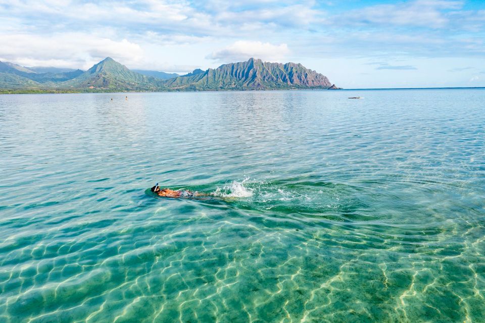 Oahu: Kaneohe Bay Coral Reef Kayaking Rental - Key points I’d put first