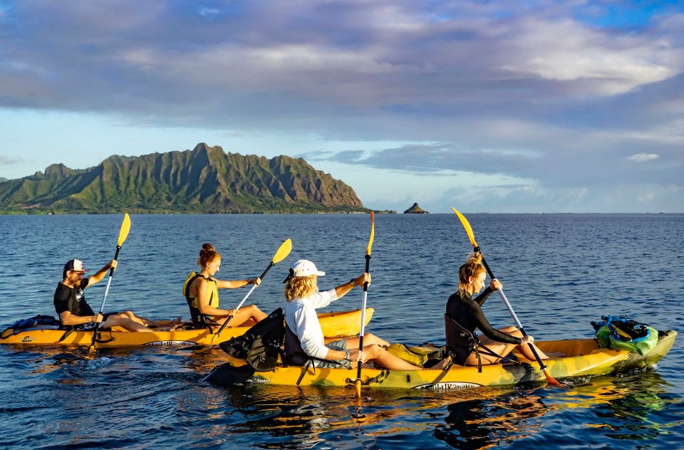 Oahu: Kaneohe Bay Coral Reef Kayaking Rental - Who this kayak rental suits best