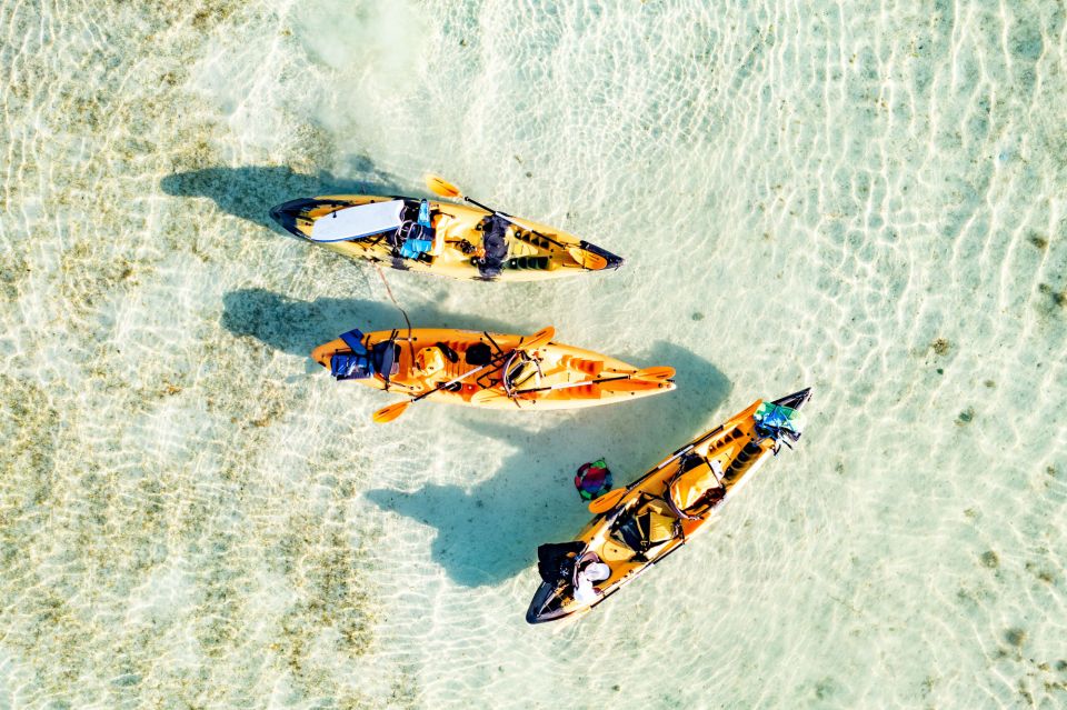 Oahu: Kaneohe Self-Guided Sandbar Kayaking Experience - FAQ