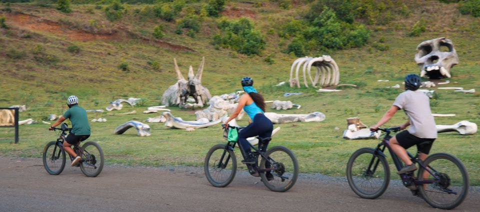 Oahu: Kualoa Electric Bike Tour - The Bike, the Terrain, and the Effort Level
