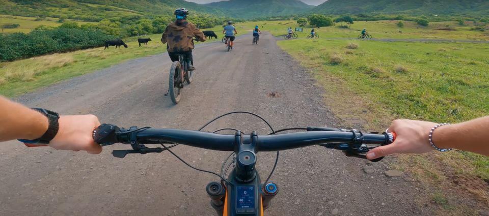 Oahu: Kualoa Electric Bike Tour - Nature and Ranch Views During a Beginner-Friendly Ride
