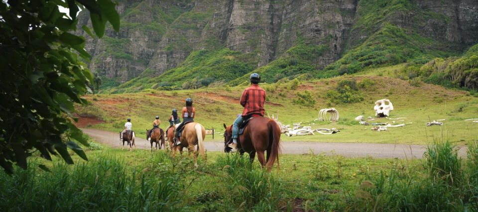 Oahu: Kualoa Hills and Valleys Horseback Riding Tour - Horses, Safety Gear, and the Real-Life Check-In