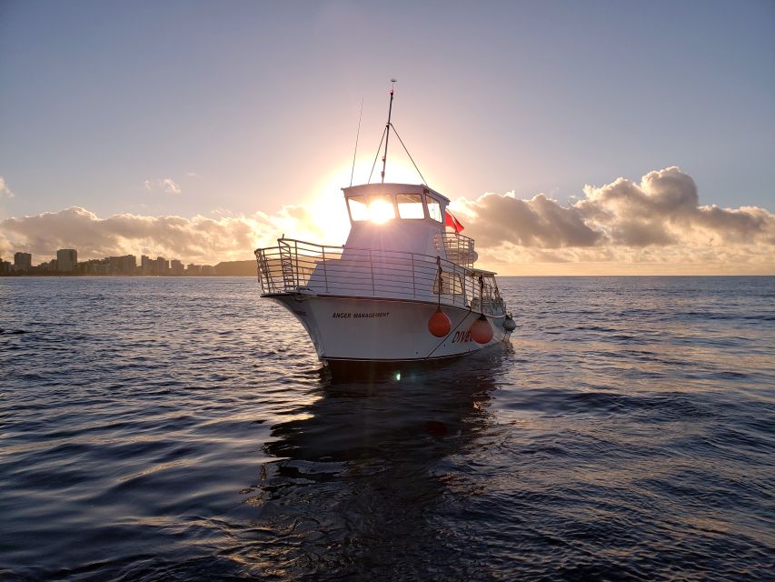 Oahu Night Dive: Adventure for Certified Divers - Night on Oahu for certified divers: what you’re really buying