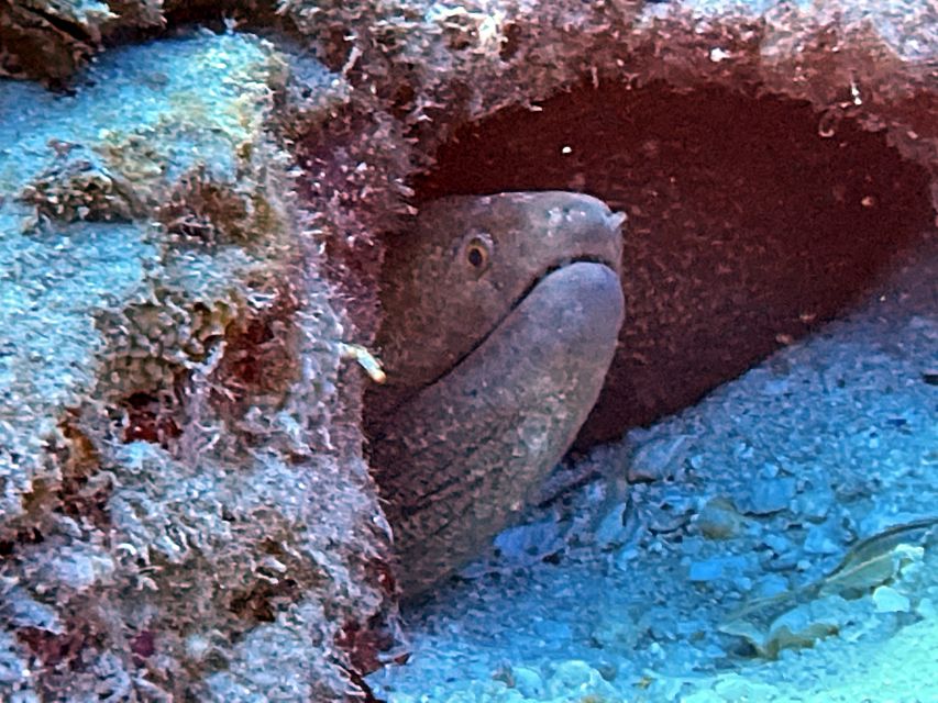 Oahu Night Dive: Adventure for Certified Divers - Stop 1: twilight on Oahu’s south shore
