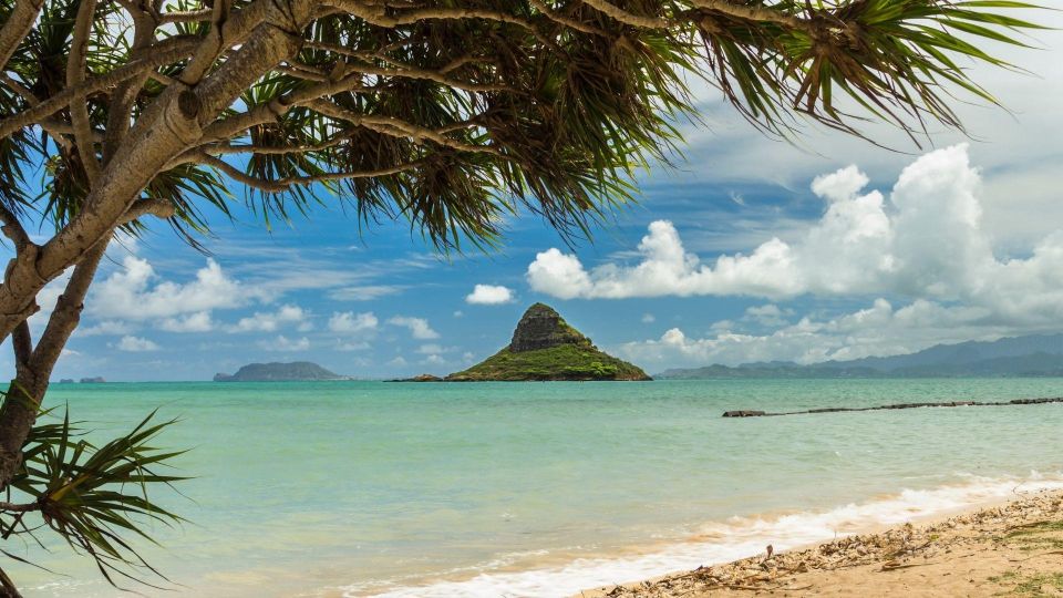 Oahu: North Shore Circle Island Small-Group Tour - Tropical Farms, Kualoa Ranch, and Polynesian Cultural Center stops