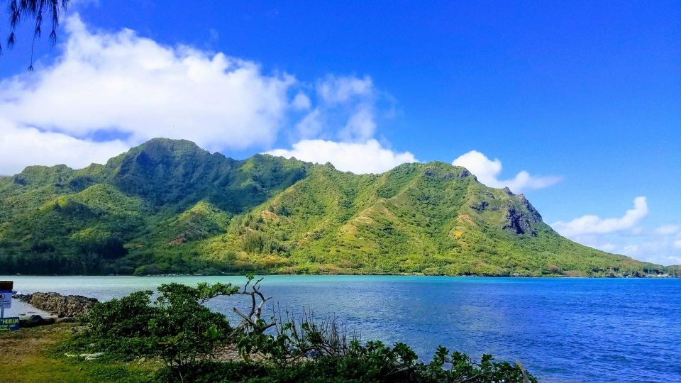 Oahu: North Shore Circle Island Small-Group Tour - Kahuku food trucks: where you refuel before the big surf hits