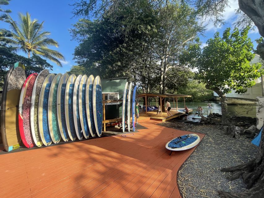 Oahu: North Shore Haleiwa Paddleboard River Adventure - Paddling the Anahulu River: Mangroves, Freshwater Springs, and Honu
