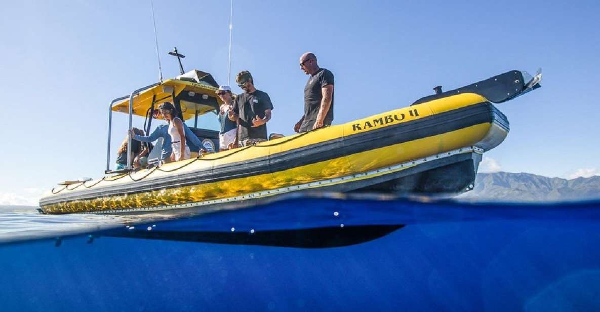Oahu: North Shore Haleʻiwa: Private Boat Charter - Should you book the Haleʻiwa private boat charter?