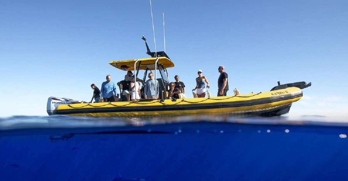 Oahu: North Shore Marine Life Tour from Haleiwa - Key Points at a Glance