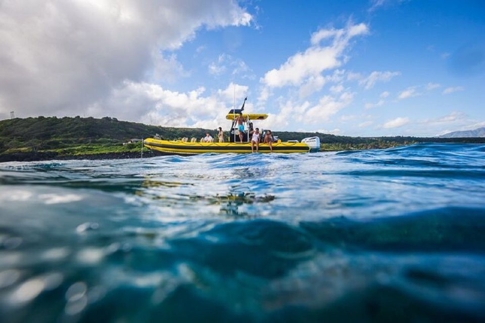 Oahu: North Shore Marine Life Tour from Haleiwa - What You’ll Spot: Sharks, Dolphins, Turtles, and Winter Whales