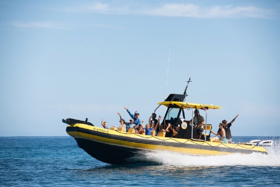 Oahu: North Shore Marine Life Tour from Haleiwa - The 90-Minute Pace: How the Crew Uses Time