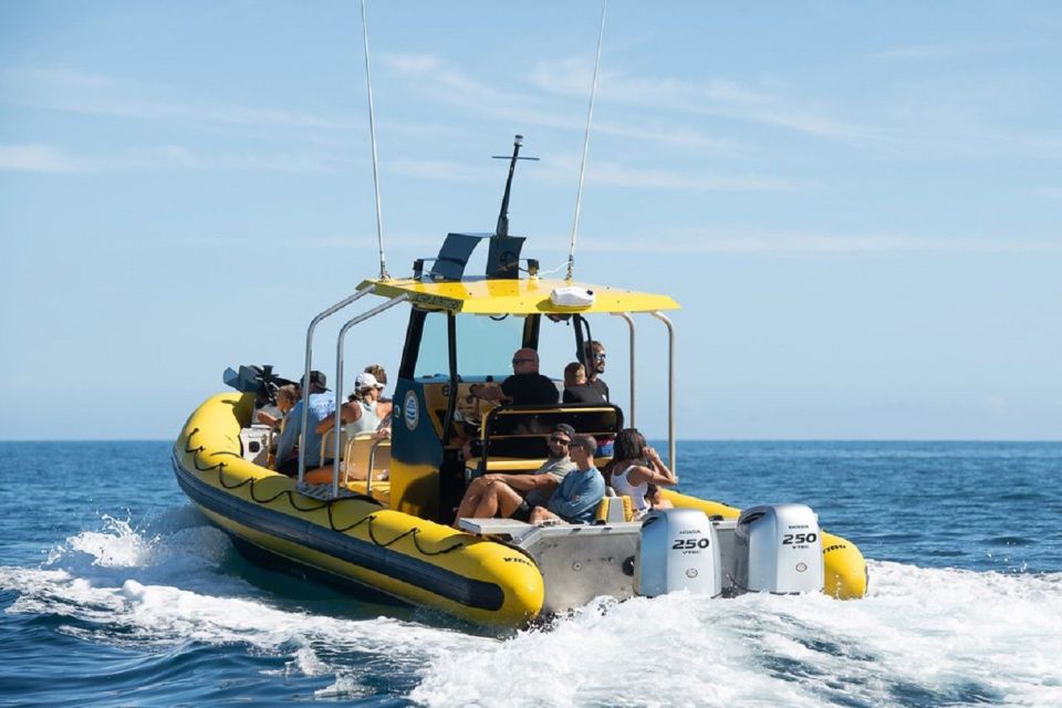 Oahu: North Shore Marine Life Tour from Haleiwa - Ka‘ena Coastline: Why This Stretch Pays Off