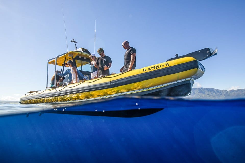 Oahu: North Shore Snorkeling Tour from Haleiwa - Ocean Outfitters Hawaii and the North Shore Advantage