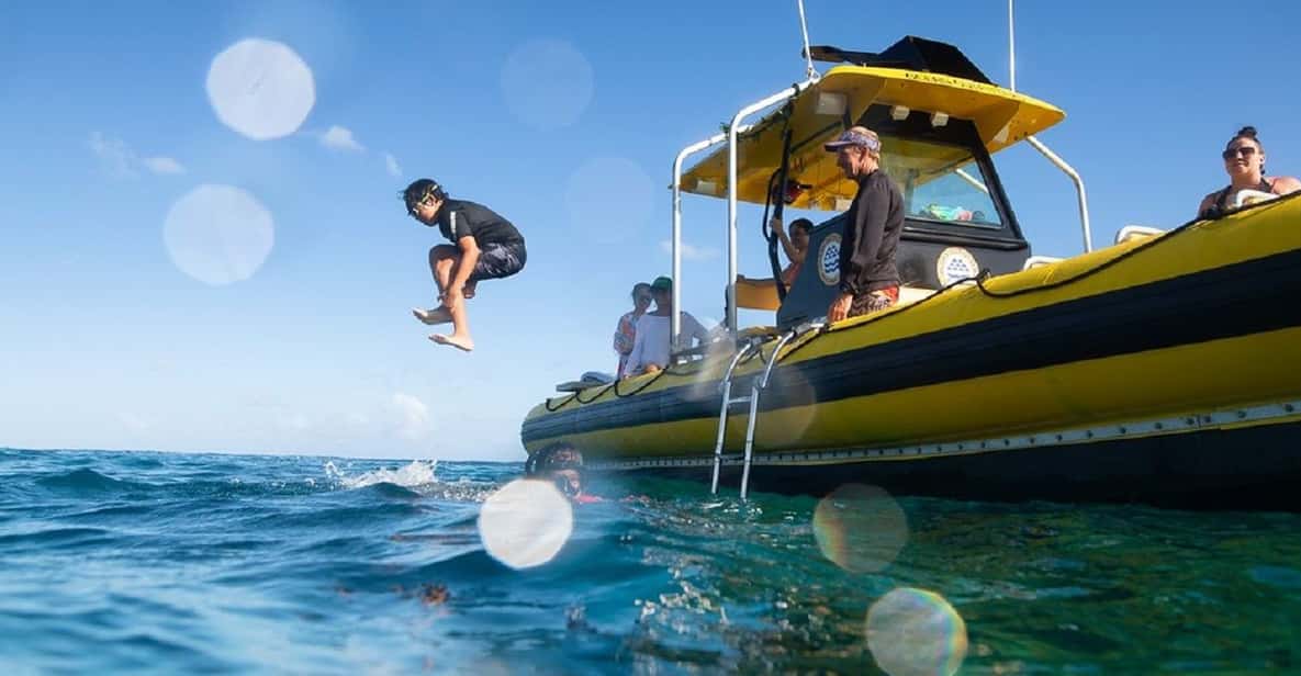 Oahu: North Shore Snorkeling Tour from Haleiwa - Meeting in Haleiwa Without Wasting Time
