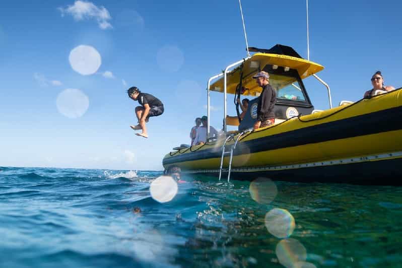 Oahu: North Shore Snorkeling Tour from Haleiwa - Quick Practical Tips Before You Go