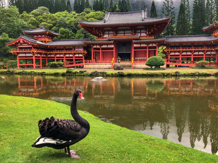 Oahu: Private Best of Oahu Sightseeing Tour - What to Pack and How to Make the Most of Your Photo Stops