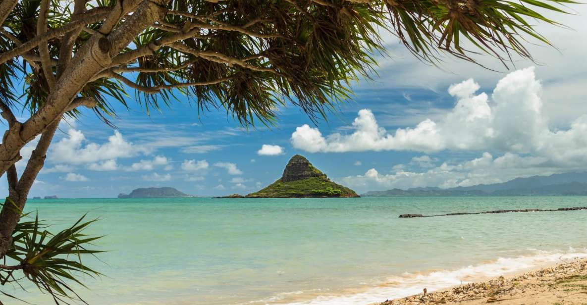Oahu: Private Custom Island Tour - Getting Started in Waikiki Without the Headache