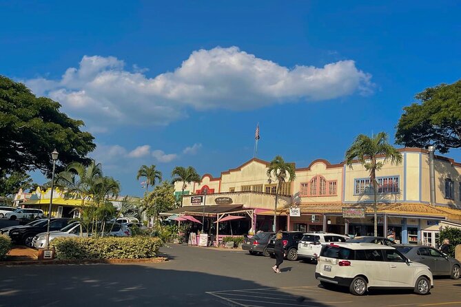 Oahu Private Tour North Shore, Waimea Falls and Dole Plantation - Dole Plantation: where your day starts with pineapple fun