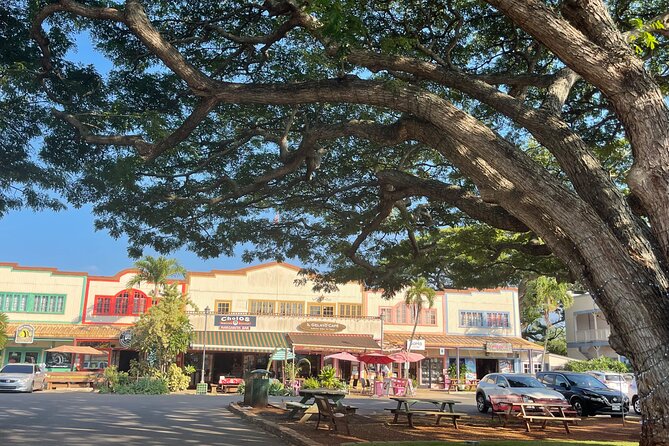 Oahu Private Tour North Shore, Waimea Falls and Dole Plantation - North Shore surf viewpoints: Sunset Beach and the big-wave sights