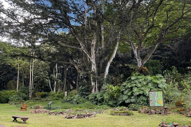 Oahu Private Tour North Shore, Waimea Falls and Dole Plantation - Haleiwa: the surf-town reset where sweets matter