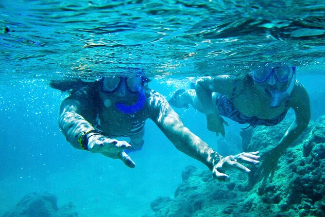Oahu Private Tour North Shore, Waimea Falls and Dole Plantation - Air-conditioned pickup and a flexible rhythm