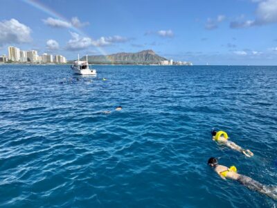 Oahu: Private Turtle Snorkeling with Customizable Itinerary - Meet at C Pier: the easiest way to start this smoothly