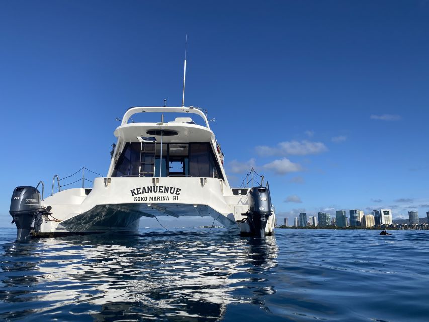 Oahu: Private Turtle Snorkeling with Customizable Itinerary - What to bring (and what not to bring) for a smoother snorkel