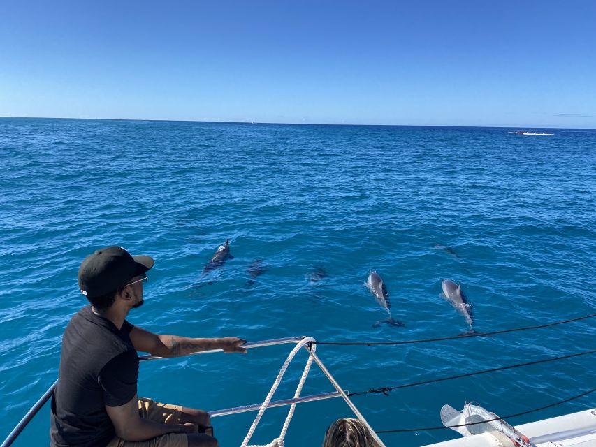 Oahu: Private Turtle Snorkeling with Customizable Itinerary - Price and value: $721 per group up to 6 for 2 hours
