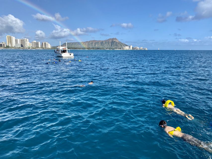 Oahu: Private Turtle Snorkeling with Customizable Itinerary - Meet at C Pier: the easiest way to start this smoothly