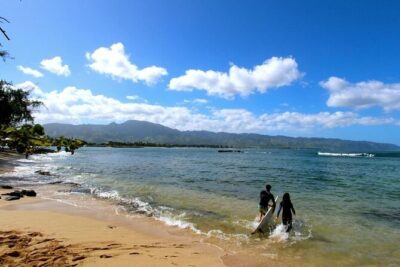 Oahu: Roundtrip Shuttle From Waikiki to Dole Plantation & Haleiwa - The optional Green World Coffee Farms stop (and whether to care)