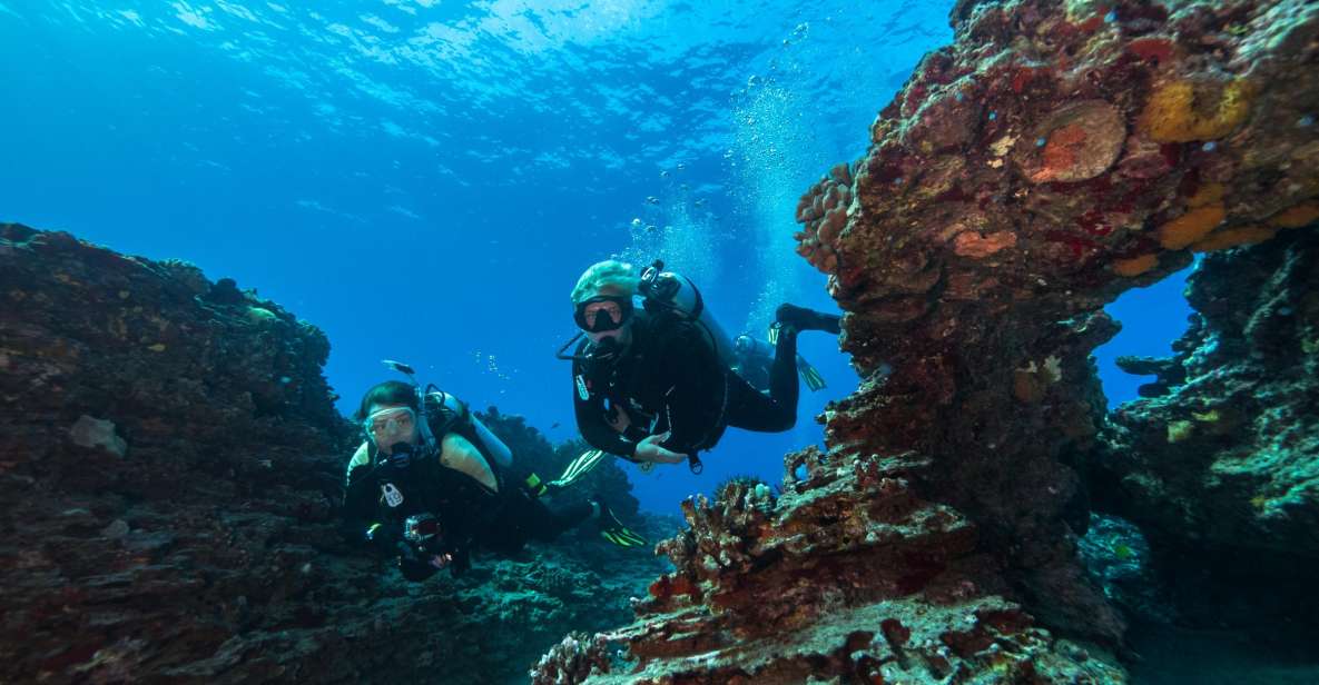 Oahu: Shallow Reef Scuba Dive for Certified Divers - Reef session one at Kaisers: shallow water with high animal traffic
