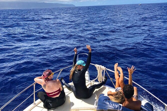 Oahu Shark Dive Educational Tour (No cage) - The safety system: how you stay calm in shark territory