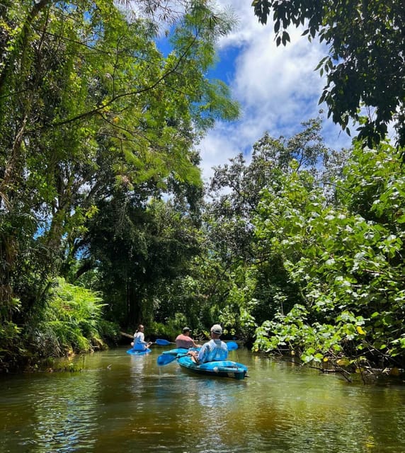 Oahu: Single & Double Kayak 3-Hour River Rental - Key highlights you’ll care about