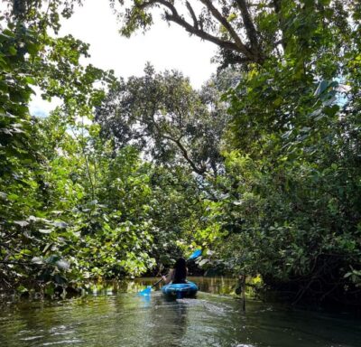 Oahu: Single & Double Kayak 3-Hour River Rental - Single vs double kayaks: which setup fits your comfort level