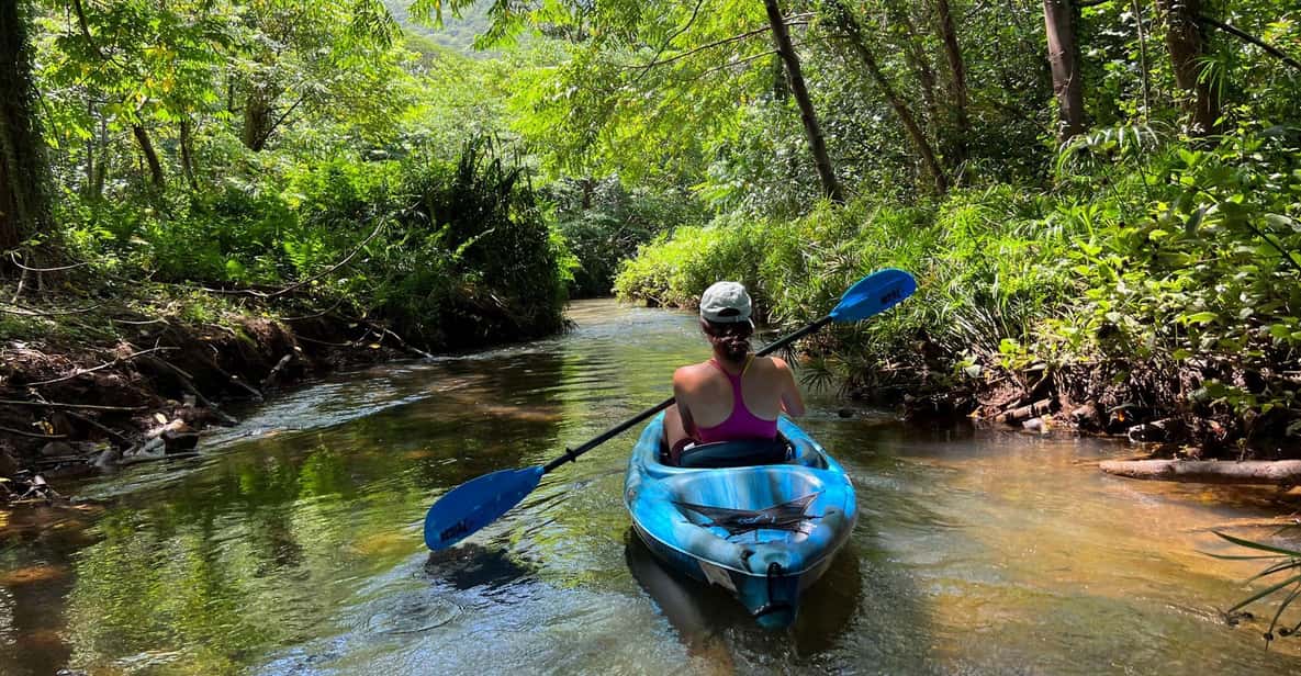 Oahu: Single & Double Kayak 3-Hour River Rental - Should you book this Oahu Kahana River kayaking session?