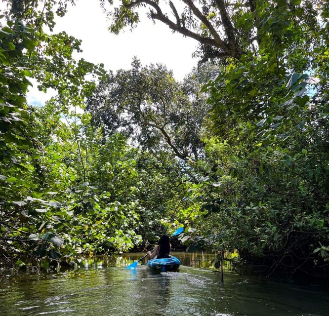 Oahu: Single & Double Kayak 3-Hour River Rental - Single vs double kayaks: which setup fits your comfort level