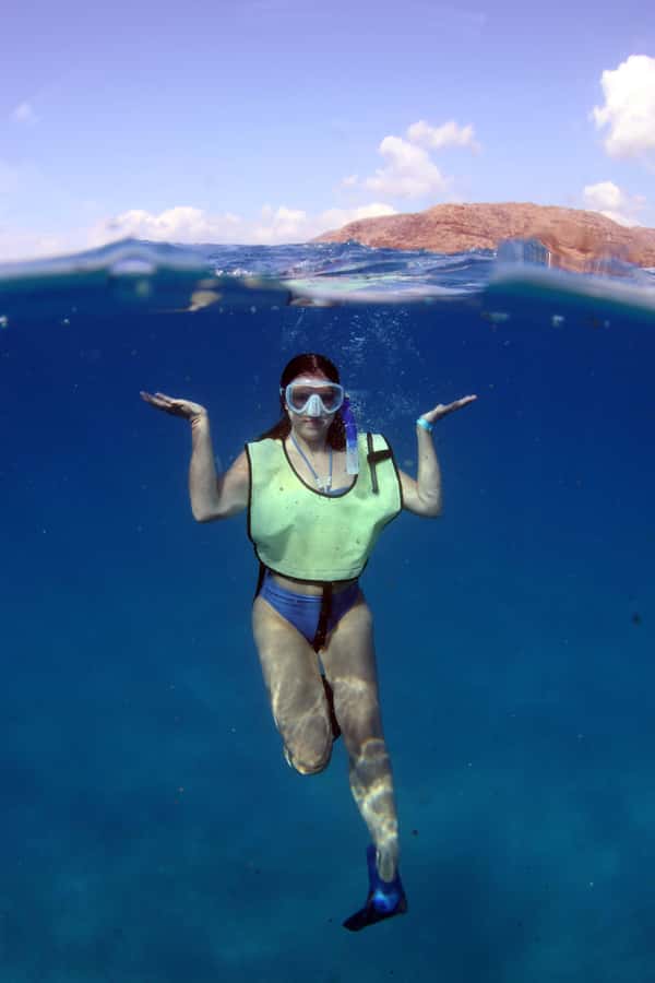 Oahu: Snorkeling & Dolphin Watch Cruise with Hawaiian Buffet - Key takeaways before you go