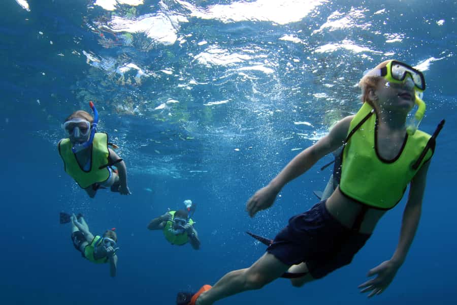 Oahu: Snorkeling & Dolphin Watch Cruise with Hawaiian Buffet - Should You Book This O‘ahu Snorkeling & Dolphin Cruise?