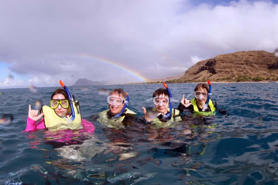 Oahu: Snorkeling & Dolphin Watch Cruise with Hawaiian Buffet - Dolphin and Whale Watching Guarantee: How to Expect Spinner Dolphins and Seasonal Whales