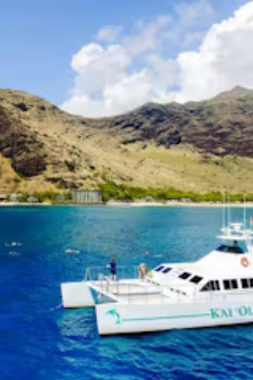 Oahu: Snorkeling & Dolphin Watch Cruise with Hawaiian Buffet - Kapolei to Tiki Bar: Hawaiian Buffet and Drinks with Real Value