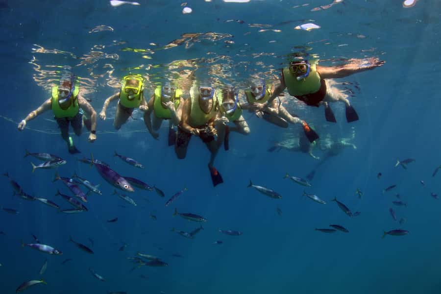 Oahu: Snorkeling & Dolphin Watch Cruise with Hawaiian Buffet - Who This Cruise Fits Best (and Who Might Want Something Else)