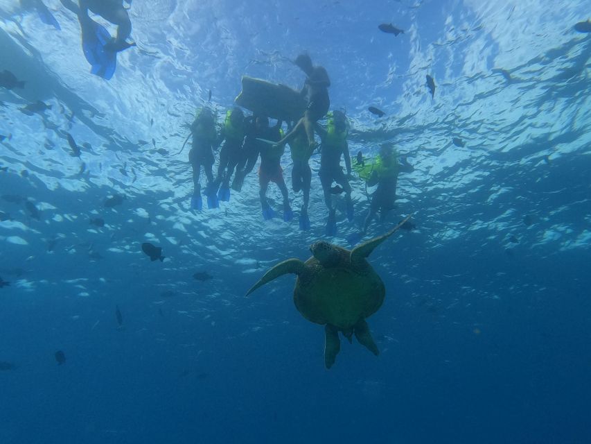 Oahu Snorkeling with Turtles, Water Scooter, Paddleboard - Honolulu pickup to Turtle Canyon: the 2-hour flow