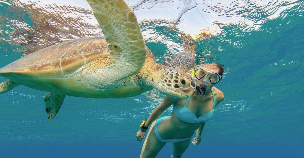 Oahu Snorkeling with Turtles, Water Scooter, Paddleboard - Stand-up paddleboard in open waters: check you get the board time