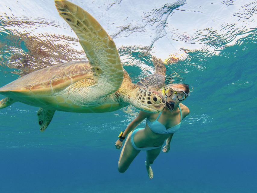 Oahu Snorkeling with Turtles, Water Scooter, Paddleboard - Cruise views, guided attention, and the wildlife scan